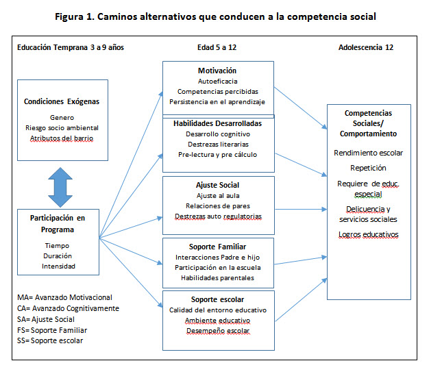 Figura 1. Caminos alternativos que conducen a la competencia social